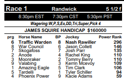 pdf example with sky racing world logo